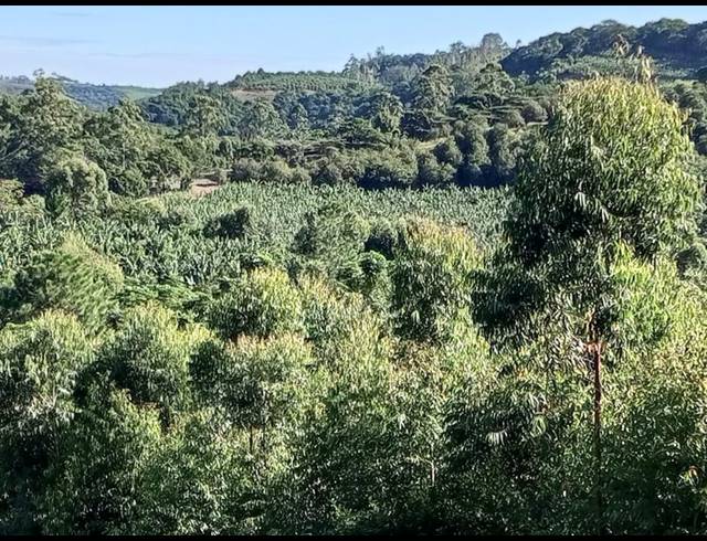 FARM FOR SALE IN RAMSGATE